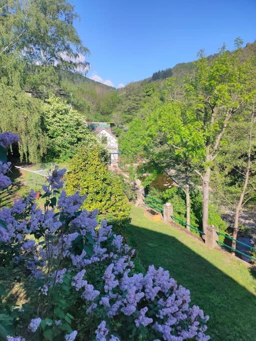Le Secret Du Moulin, Agreable Tiny House Villefort Villefort (Lozere) Exterior foto